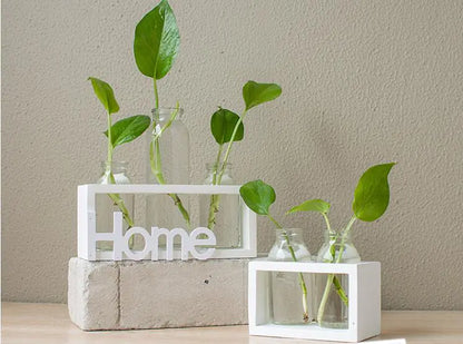 Transparent Glass Hydroponic Vase for Home Decor