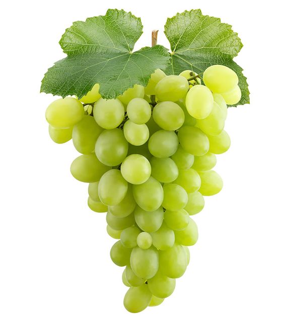 Grapes: A Fruit Worth Celebrating