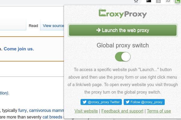 CroxyProxy: The Proxy Service Unlocking the Internet for Users Everywhere