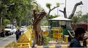 PCMC takes action against unauthorised tree cutting with deployment of dedicated squads