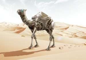 Robotic Camel Racers