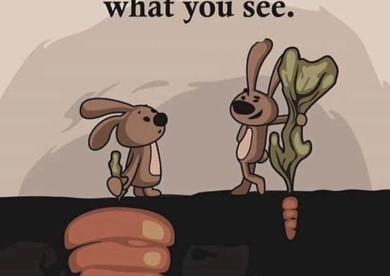 Success is not always what you see