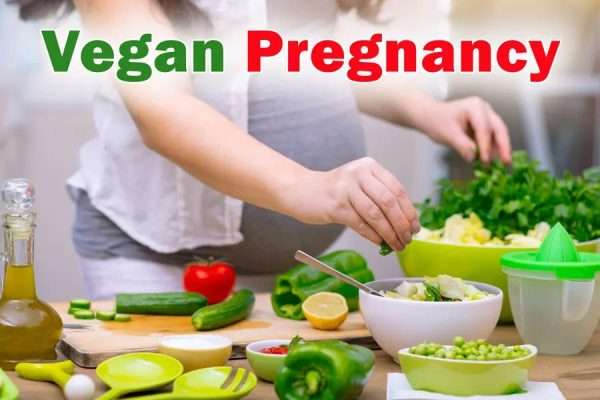 Plant-Based Pregnancy and Parenthood