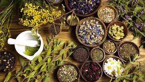Traditional medicine (Health)