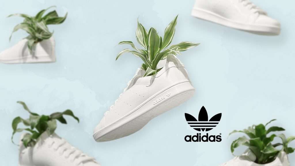 Shoes Made From Plants