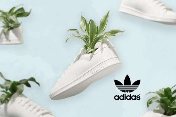 Shoes Made From Plants